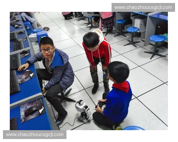 重心下降对人体运动平衡与姿态控制的影响研究 重心下降对人体运动平衡与姿态控制的影响研究